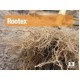 Рутекс 8 - 45 - 6 / Rootex 8 - 45 - 6 - Универсален коренов стимулатор