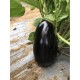 Патладжан Черна перла F1 / Black pearl F1 Патладжан Черна перла F1 / Black pearl F1