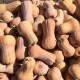 Тиква цигулка Матилда F1 / Matilda F1