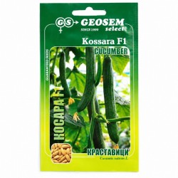 Краставици Косара F1 / Kossara F1