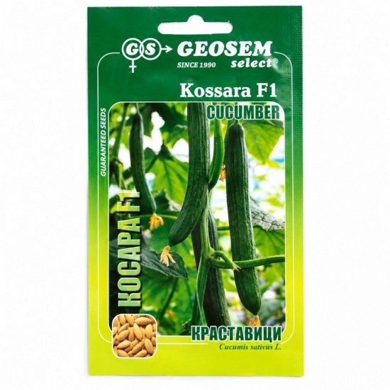 Краставици Косара F1 / Kossara F1