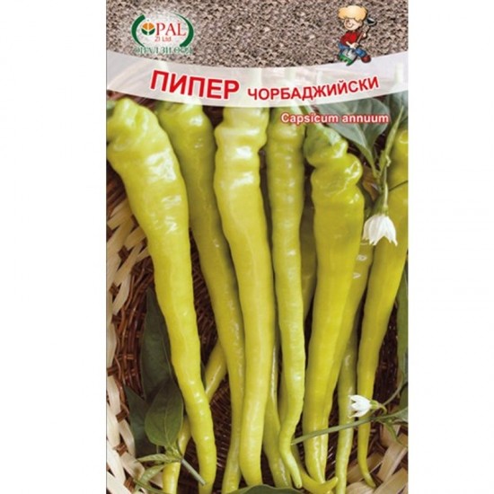 Пипер Чорбаджийски / Chorbadjiiski