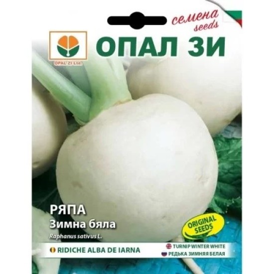 Ряпа Зимна Бяла / Winter White - Снежна топка Ряпа Зимна Бяла / Winter White - Снежна топка