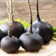 Ряпа Зимна черна / Winter Black Ряпа Зимна черна / Winter Black