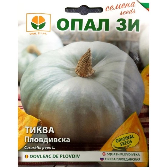 Тиква Пловдивска / Plovdivska