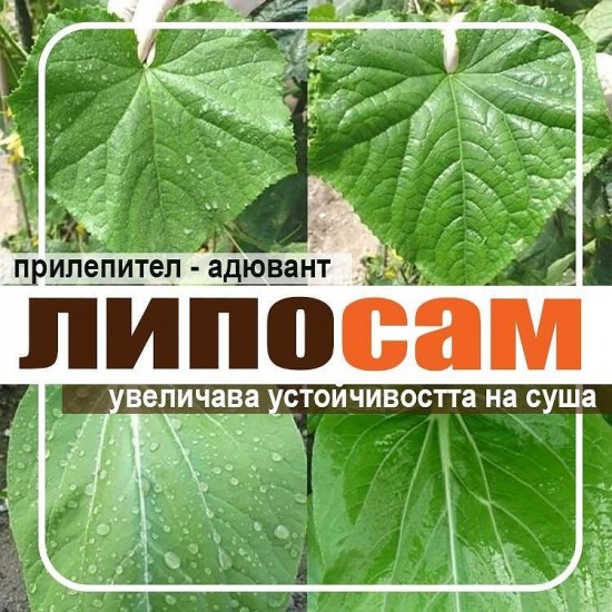 Липосам / Liposam
