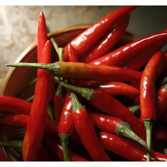 Лют пипер Чили / Chili Pepper