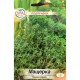 Мащерка / Thymus vulgaris