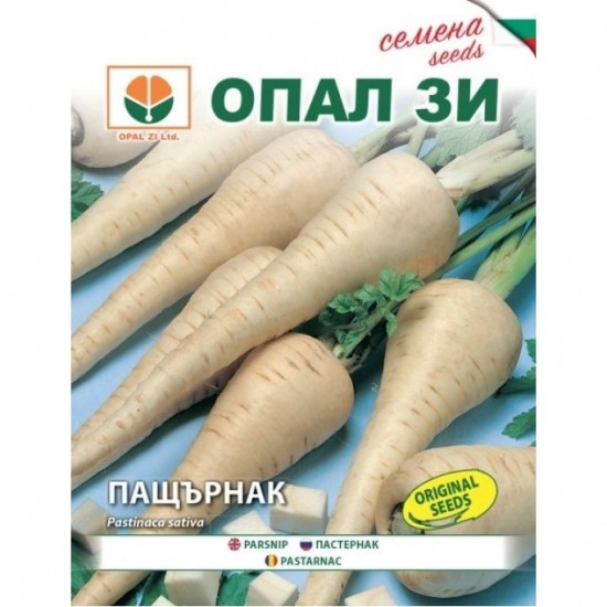 Пащърнак / Pastinaca sativa