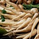 Пащърнак / Pastinaca sativa
