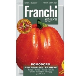Домати Червена круша - /Franchi/ Red pear